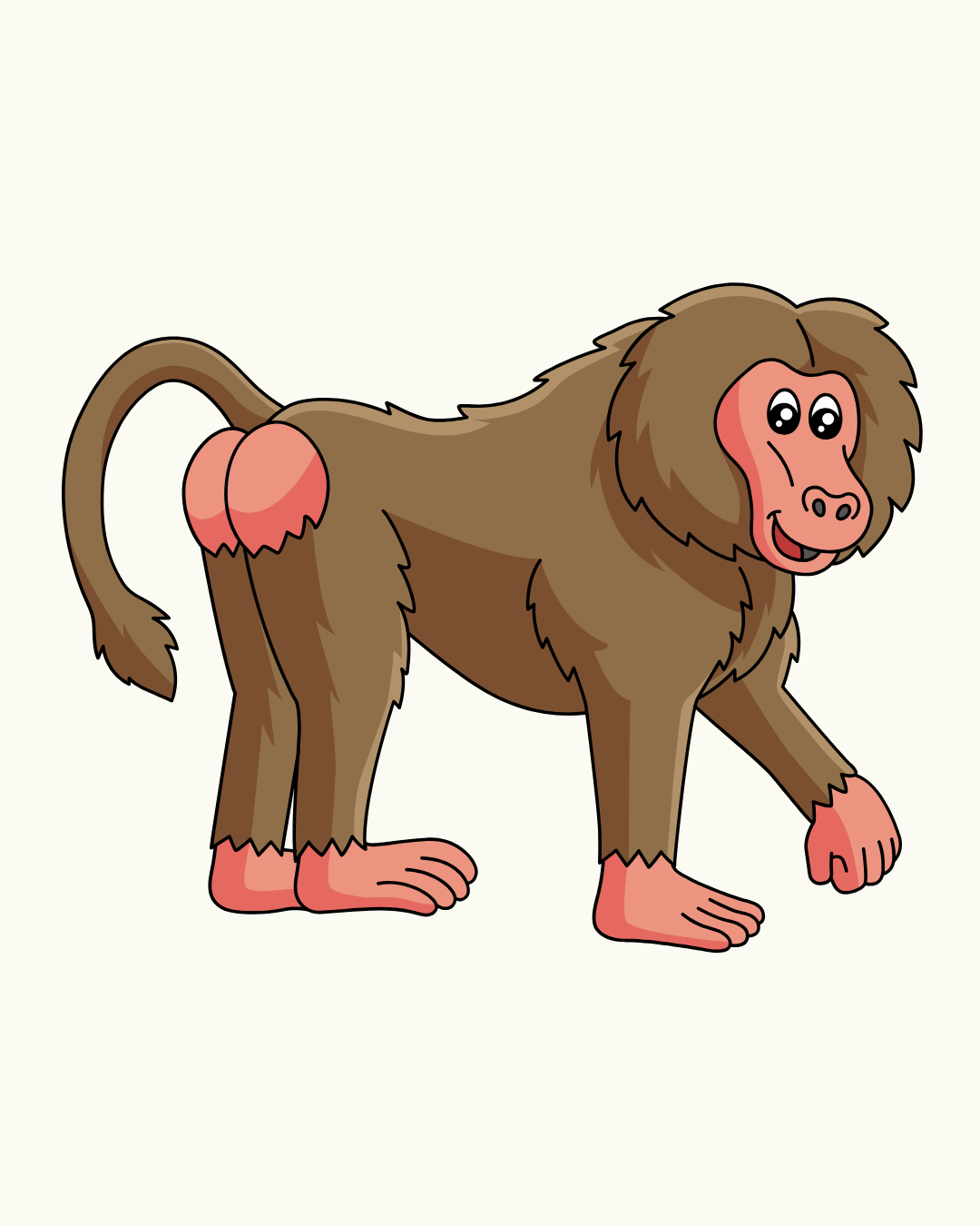 Baboon