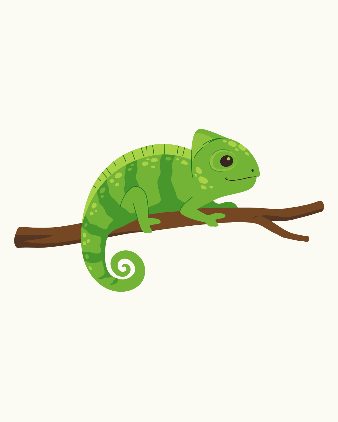 Chameleon
