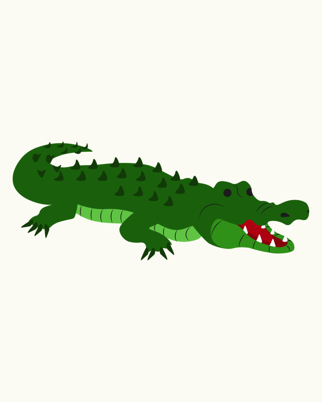 Crocodile