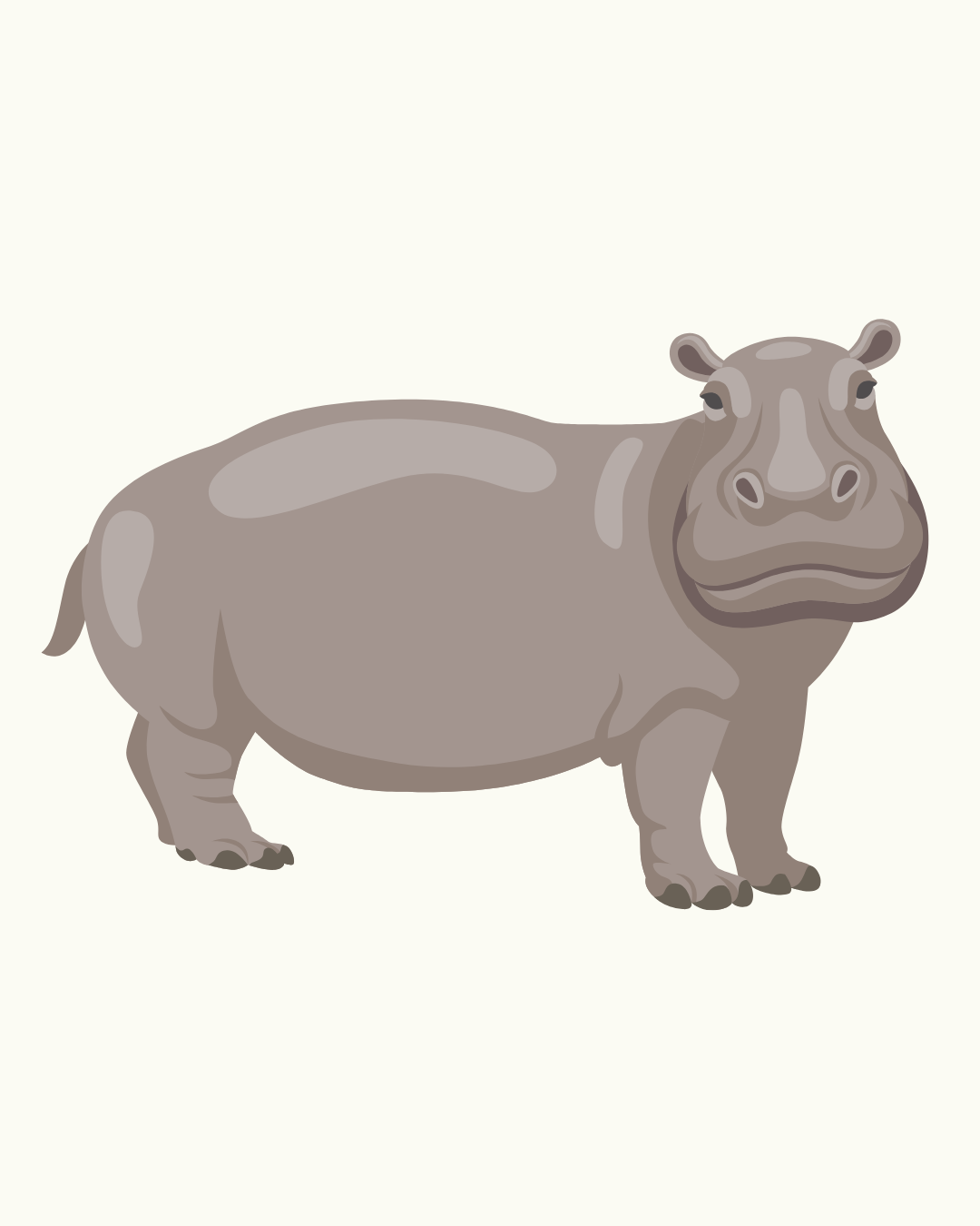 Hippo