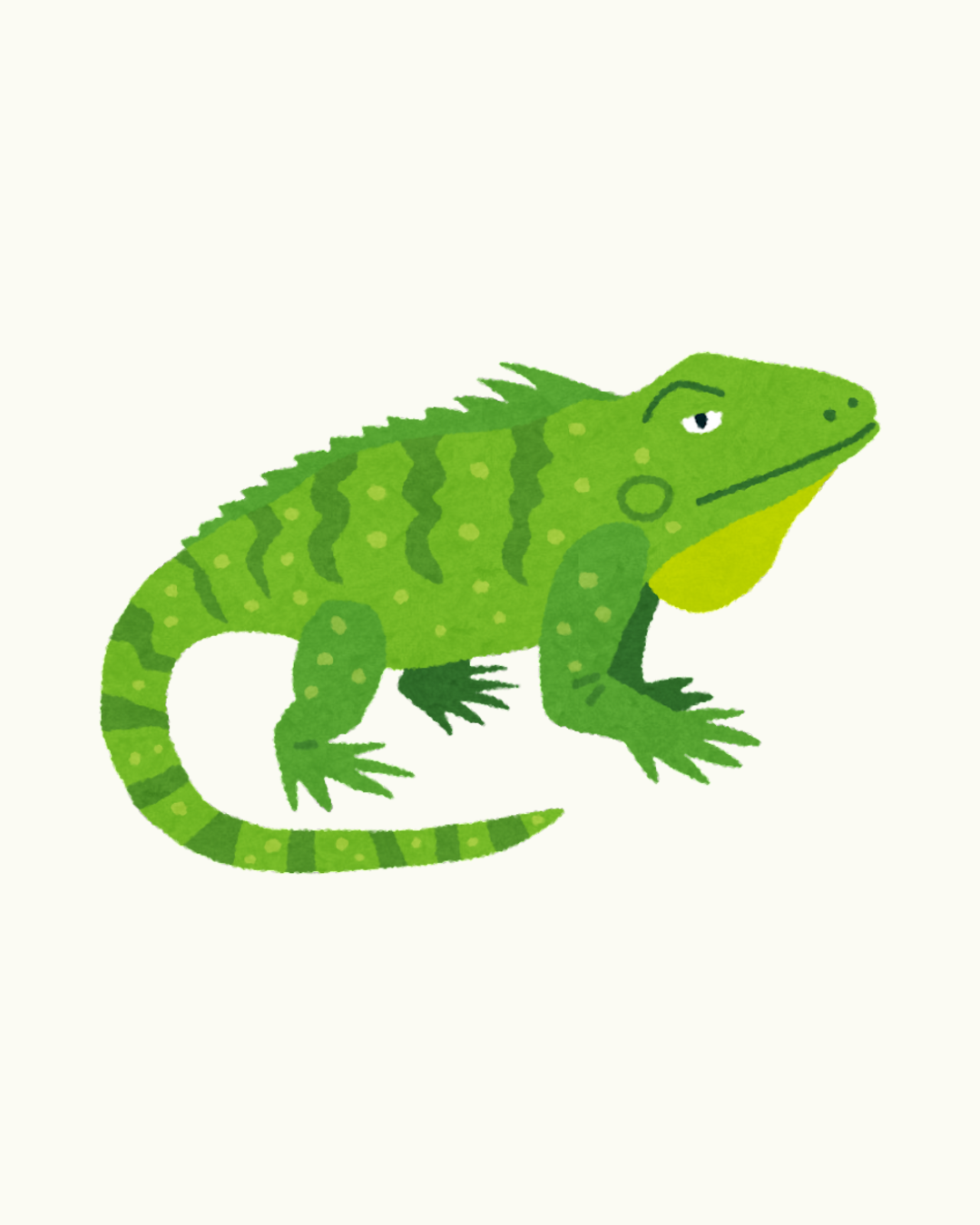 Iguana