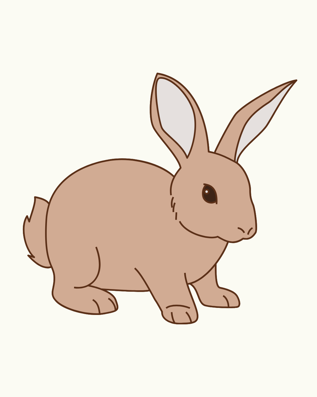 Rabbit