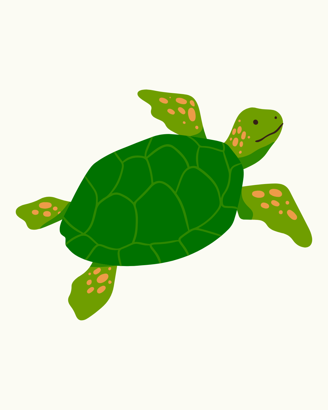 Turtle